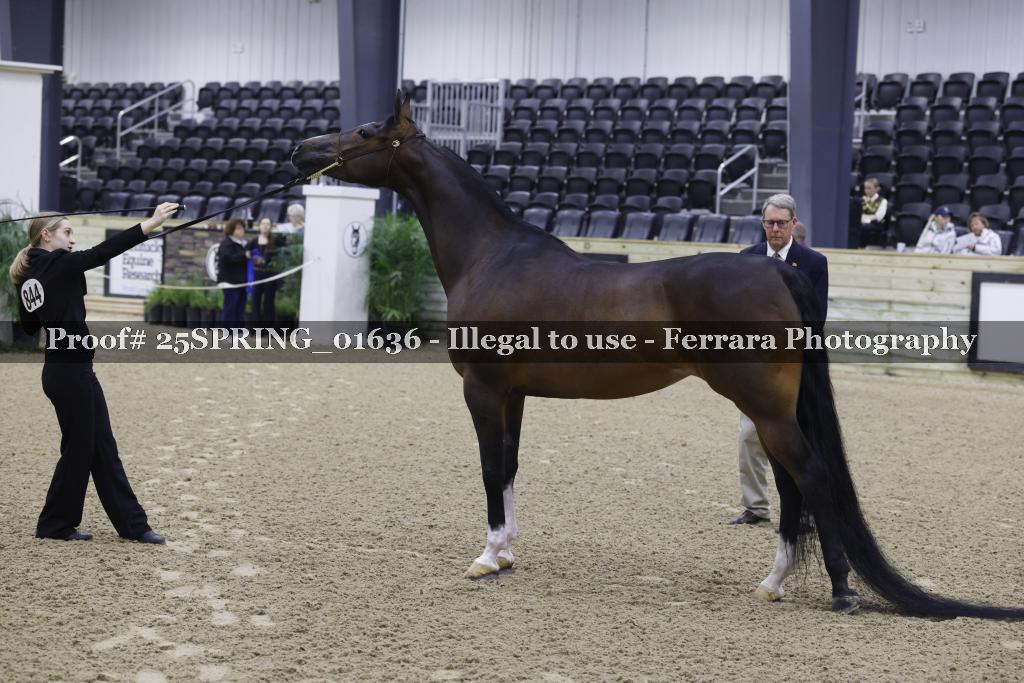 Proof 25SPRING_01636