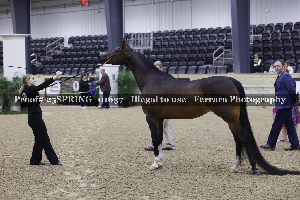 Proof 25SPRING_01637