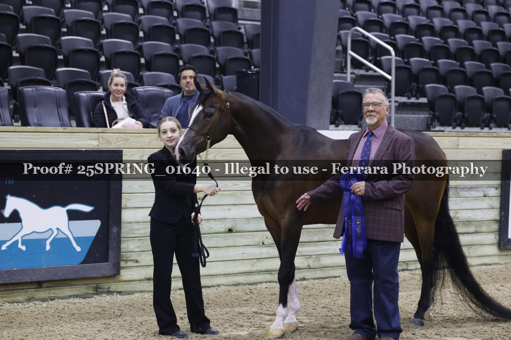Proof 25SPRING_01640