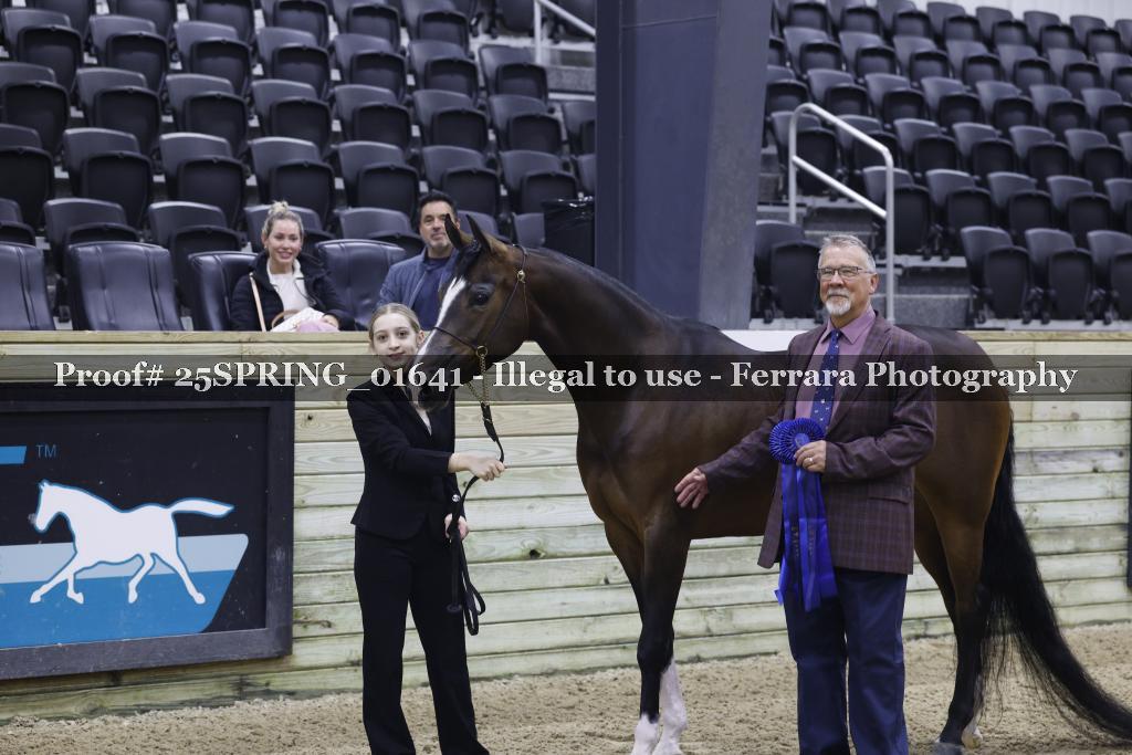 Proof 25SPRING_01641