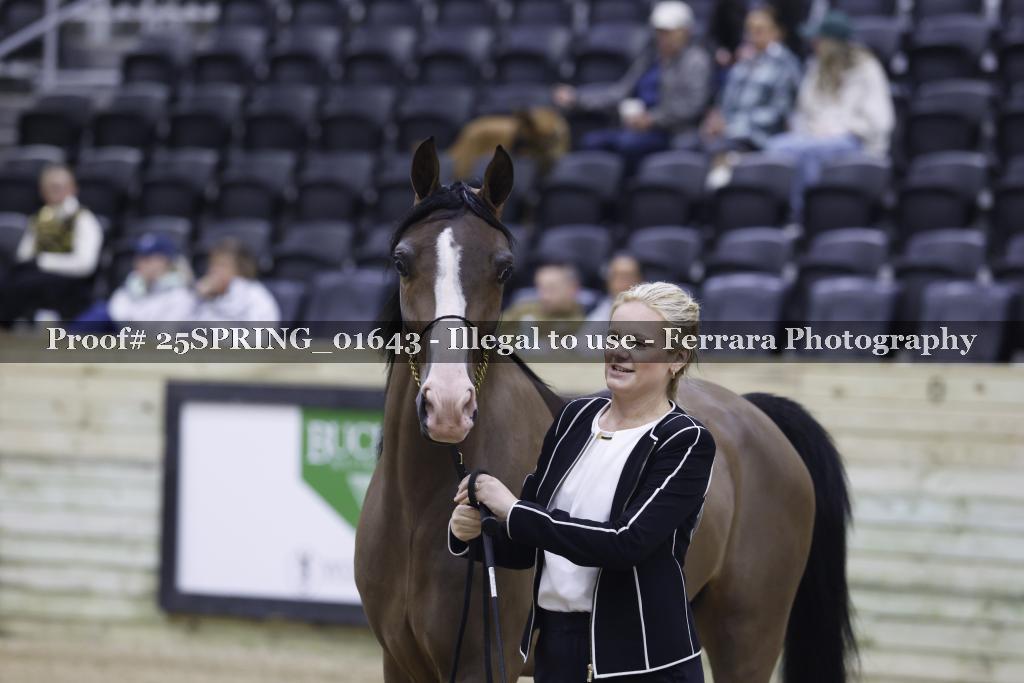 Proof 25SPRING_01643