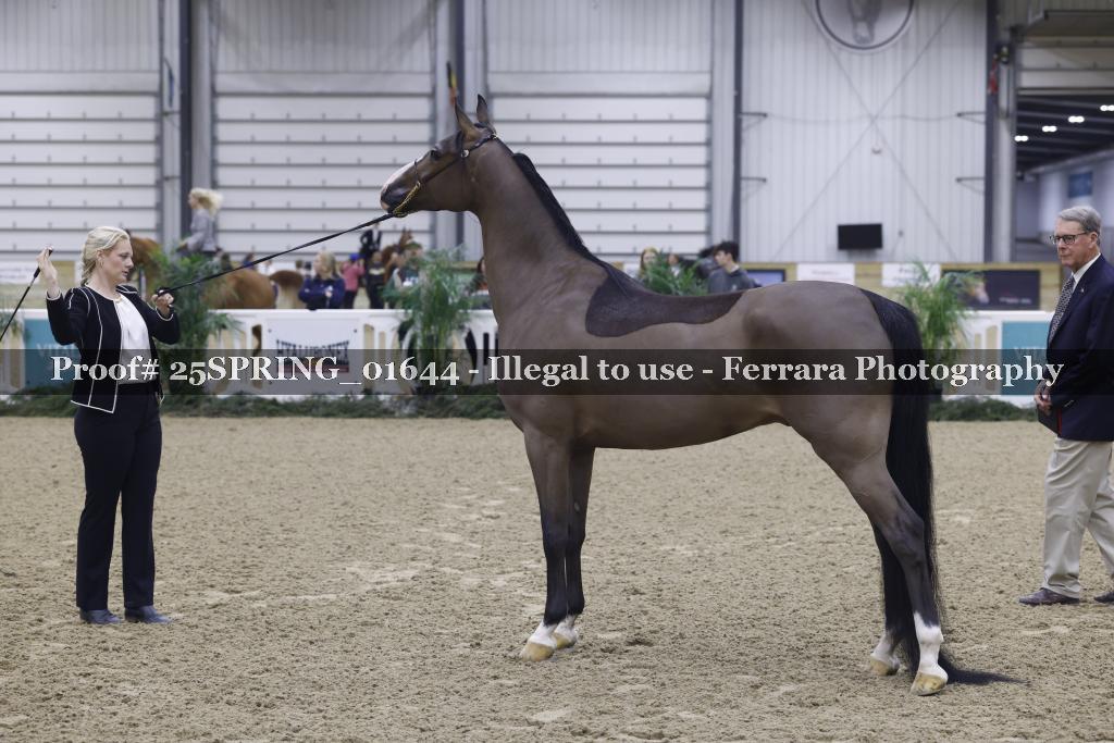 Proof 25SPRING_01644