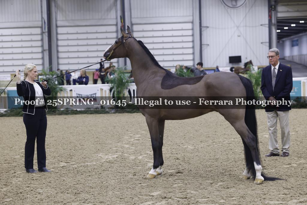 Proof 25SPRING_01645