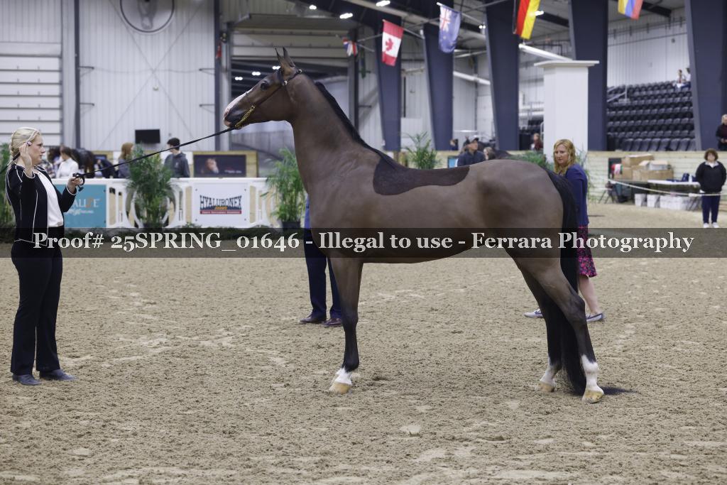 Proof 25SPRING_01646