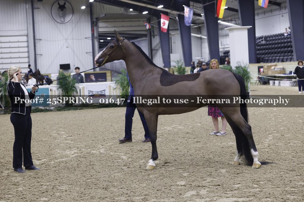 Proof 25SPRING_01647