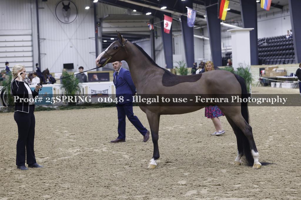 Proof 25SPRING_01648