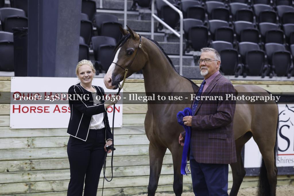 Proof 25SPRING_01650