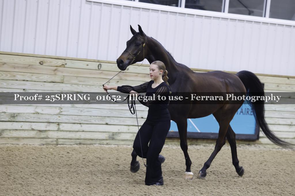 Proof 25SPRING_01652