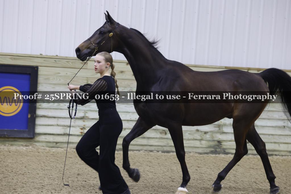 Proof 25SPRING_01653