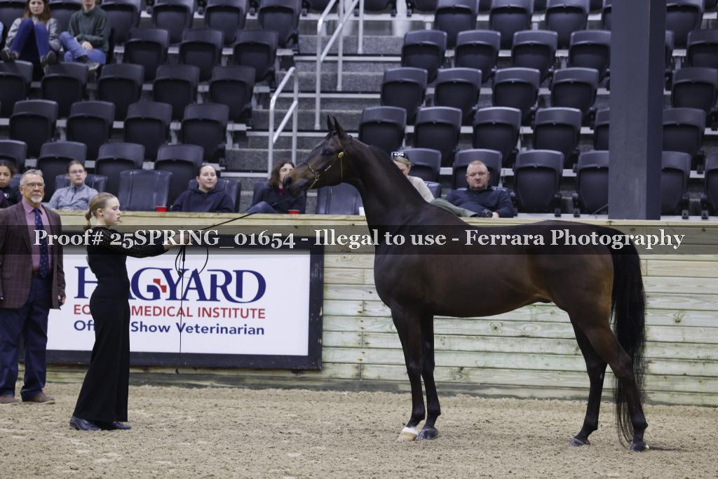 Proof 25SPRING_01654