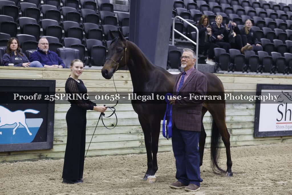 Proof 25SPRING_01658