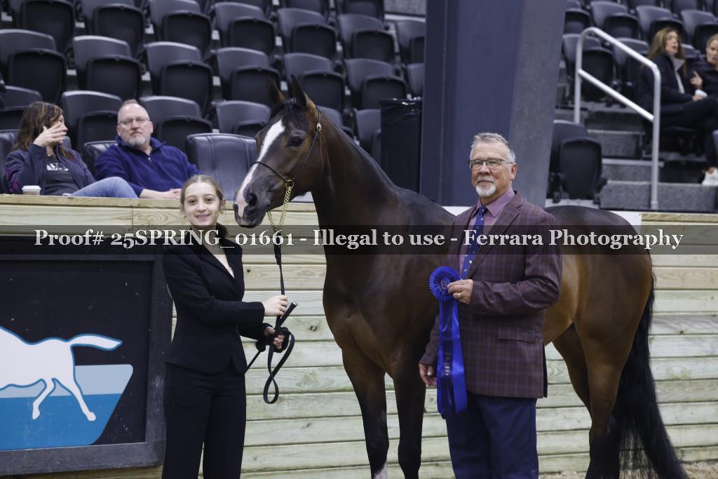 Proof 25SPRING_01661
