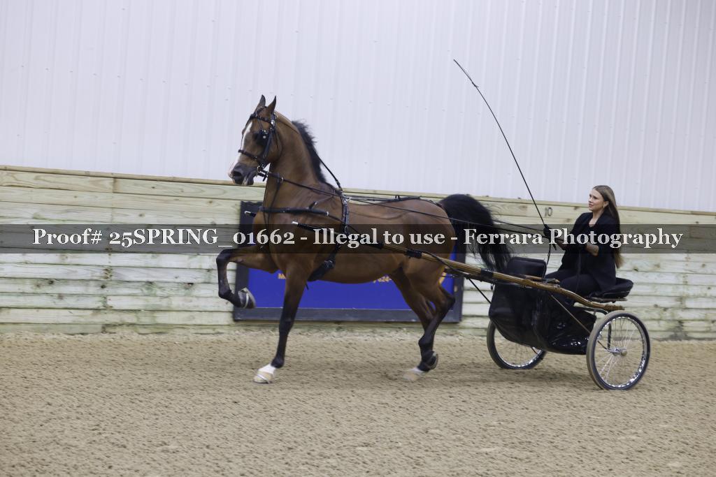 Proof 25SPRING_01662