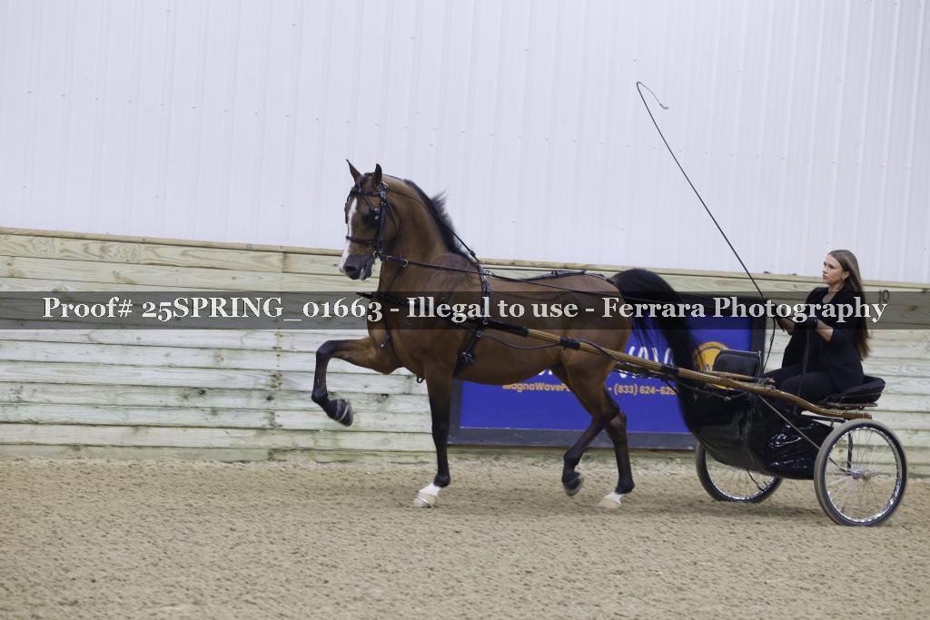 Proof 25SPRING_01663