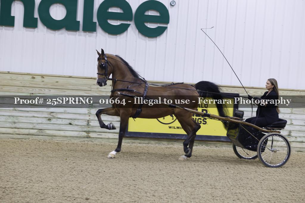 Proof 25SPRING_01664