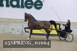 25SPRING_01664 proof