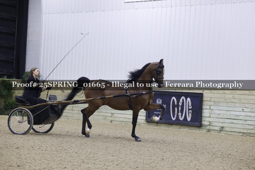 Proof 25SPRING_01665