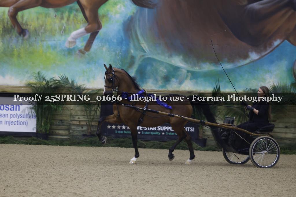 Proof 25SPRING_01666