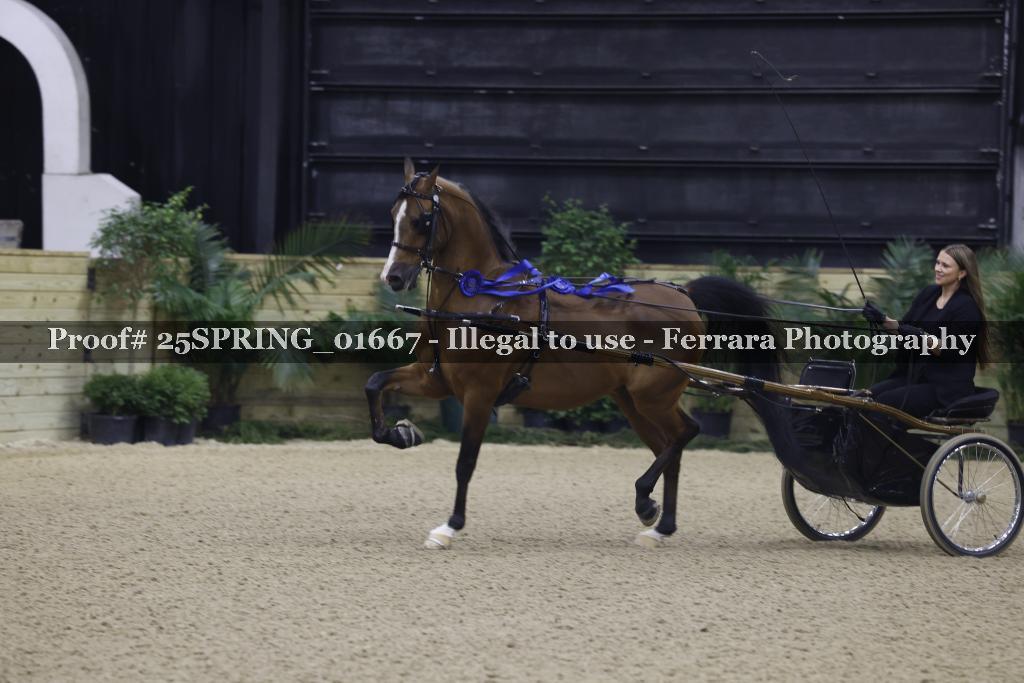 Proof 25SPRING_01667
