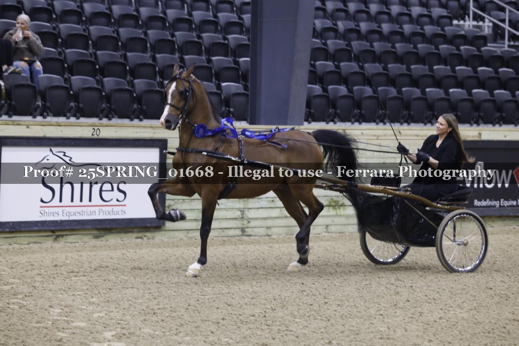 Proof 25SPRING_01668