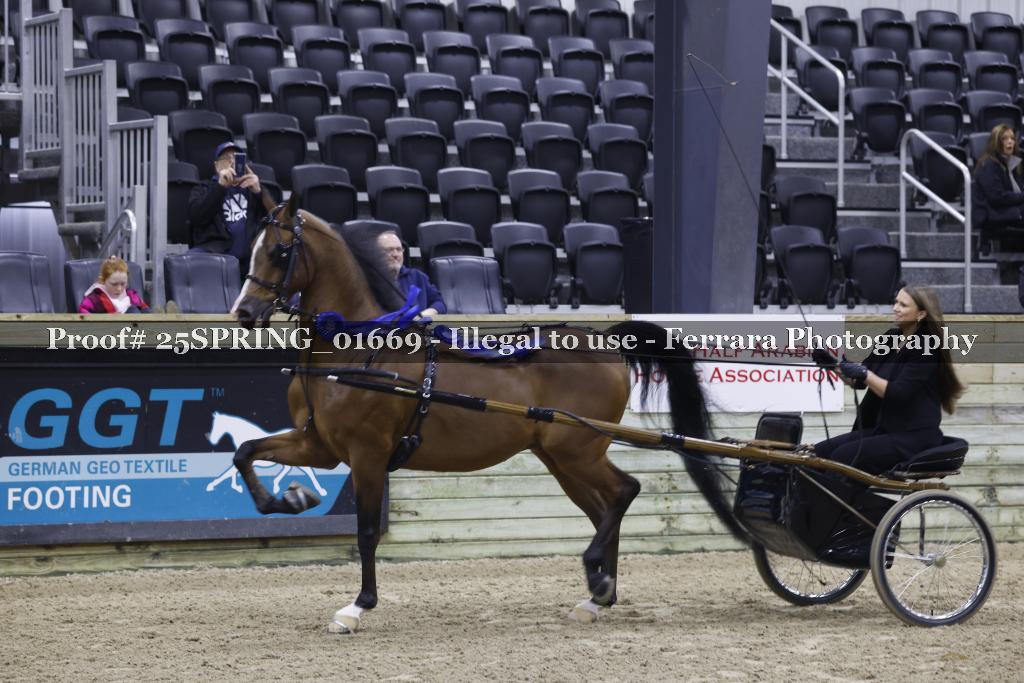 Proof 25SPRING_01669