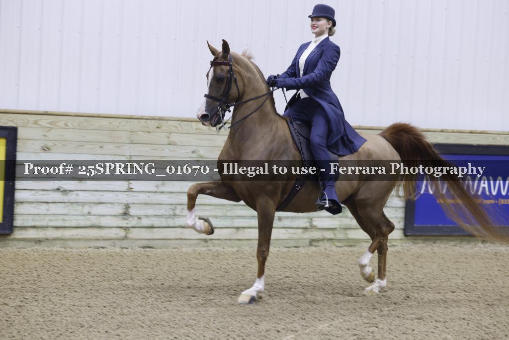 Proof 25SPRING_01670