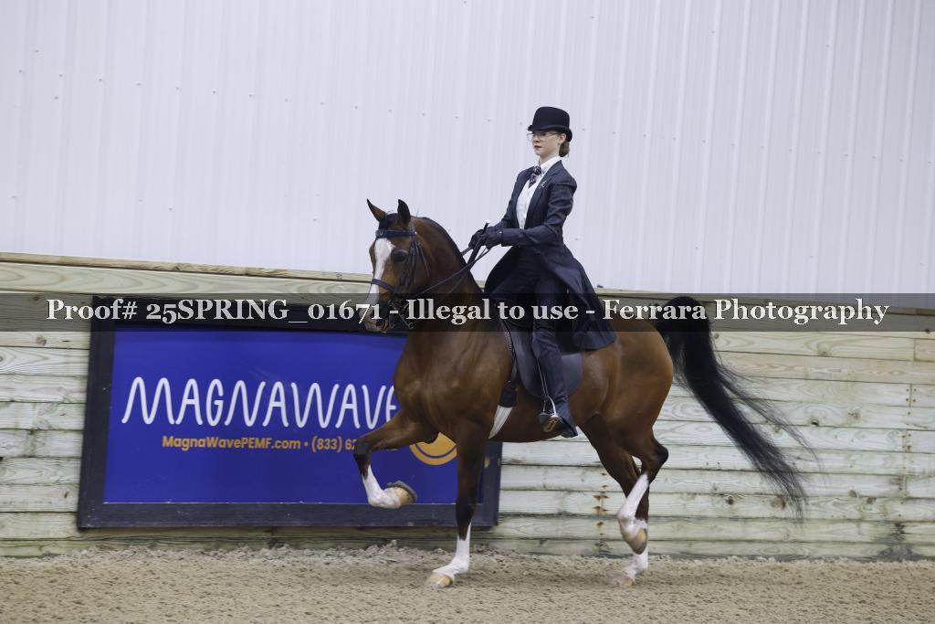 Proof 25SPRING_01671