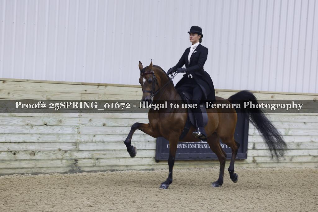 Proof 25SPRING_01672
