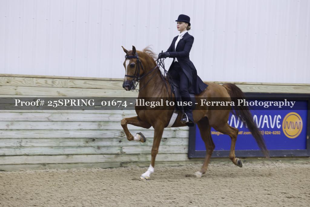 Proof 25SPRING_01674