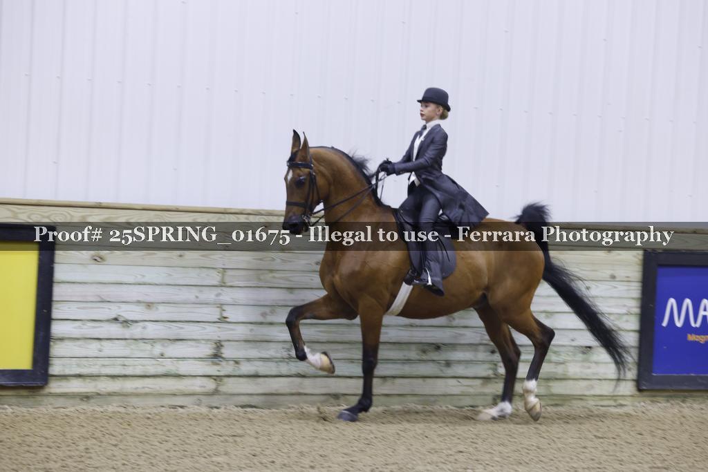Proof 25SPRING_01675
