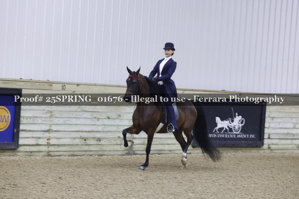 Proof 25SPRING_01676