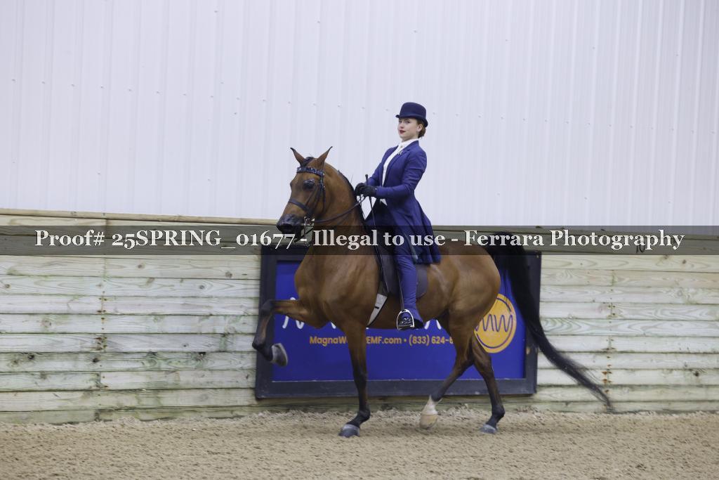Proof 25SPRING_01677