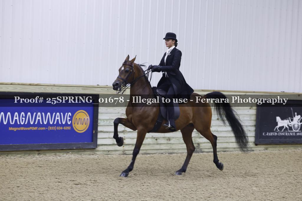 Proof 25SPRING_01678