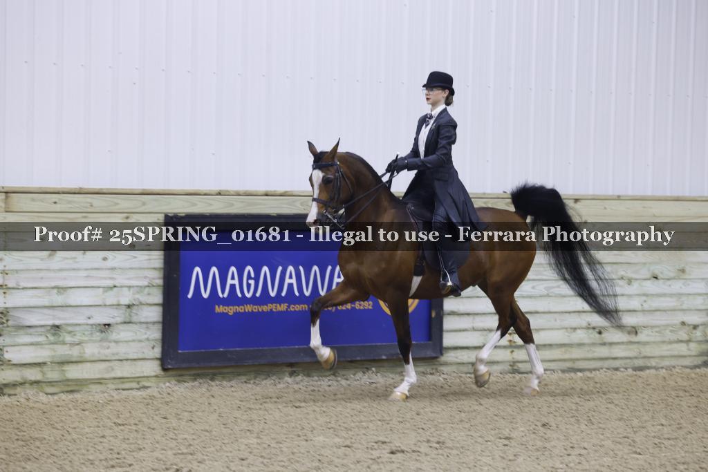 Proof 25SPRING_01681