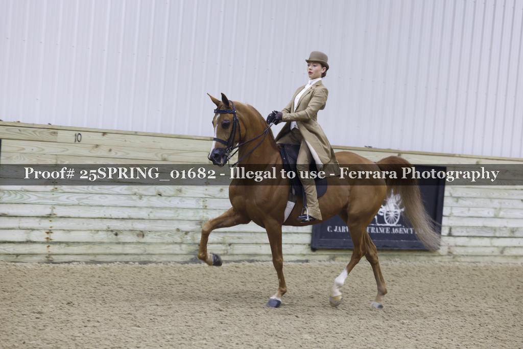 Proof 25SPRING_01682