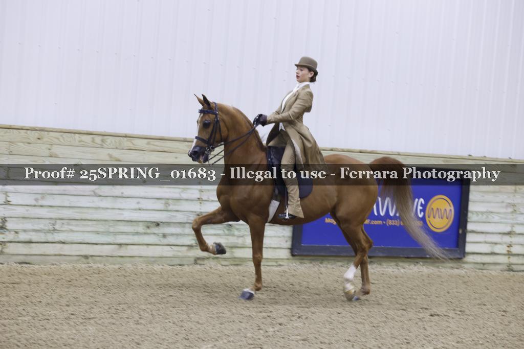 Proof 25SPRING_01683