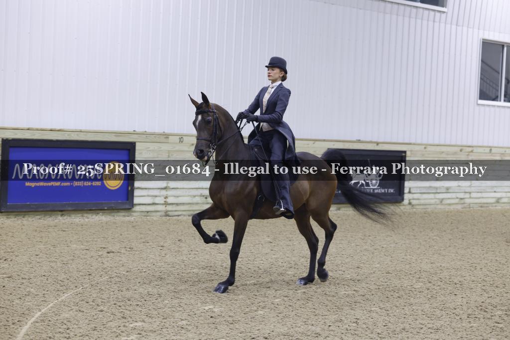 Proof 25SPRING_01684