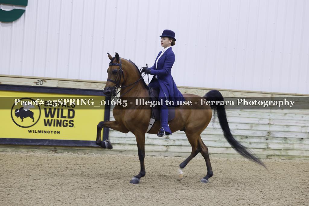 Proof 25SPRING_01685