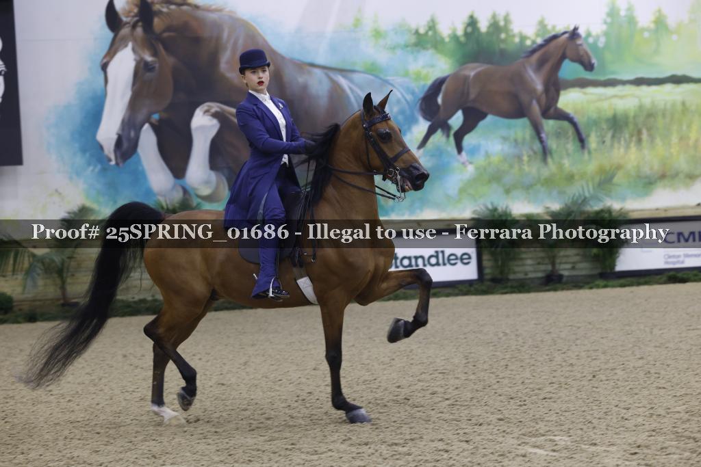Proof 25SPRING_01686