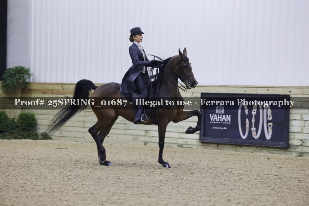 Proof 25SPRING_01687