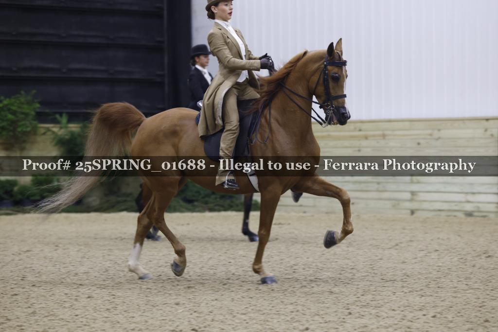 Proof 25SPRING_01688