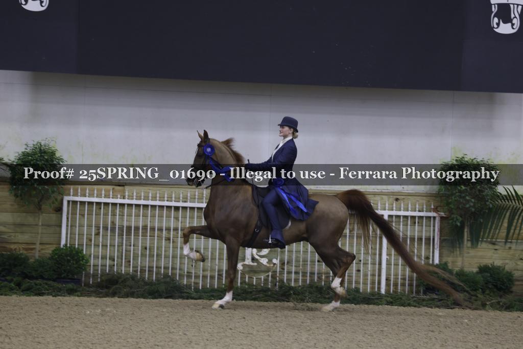 Proof 25SPRING_01690