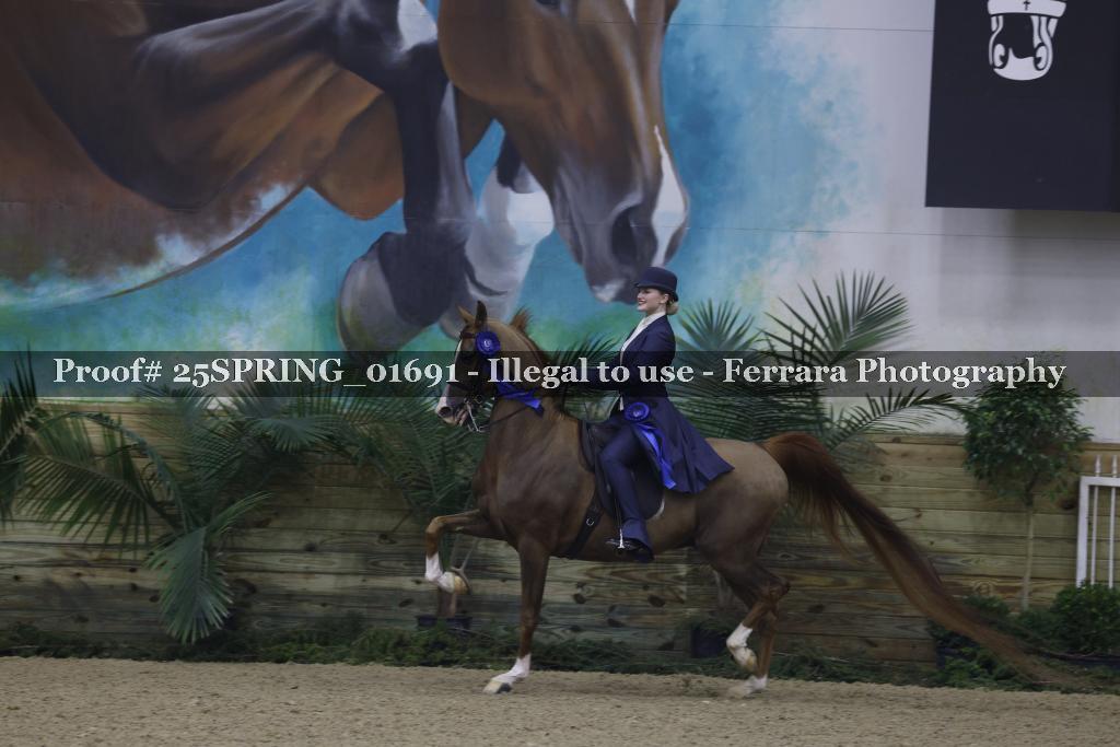 Proof 25SPRING_01691