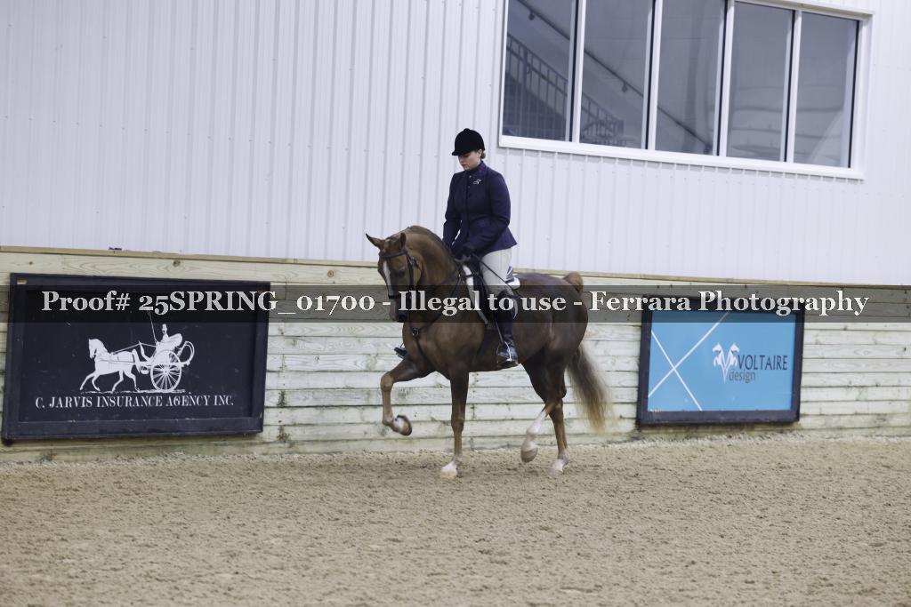 Proof 25SPRING_01700