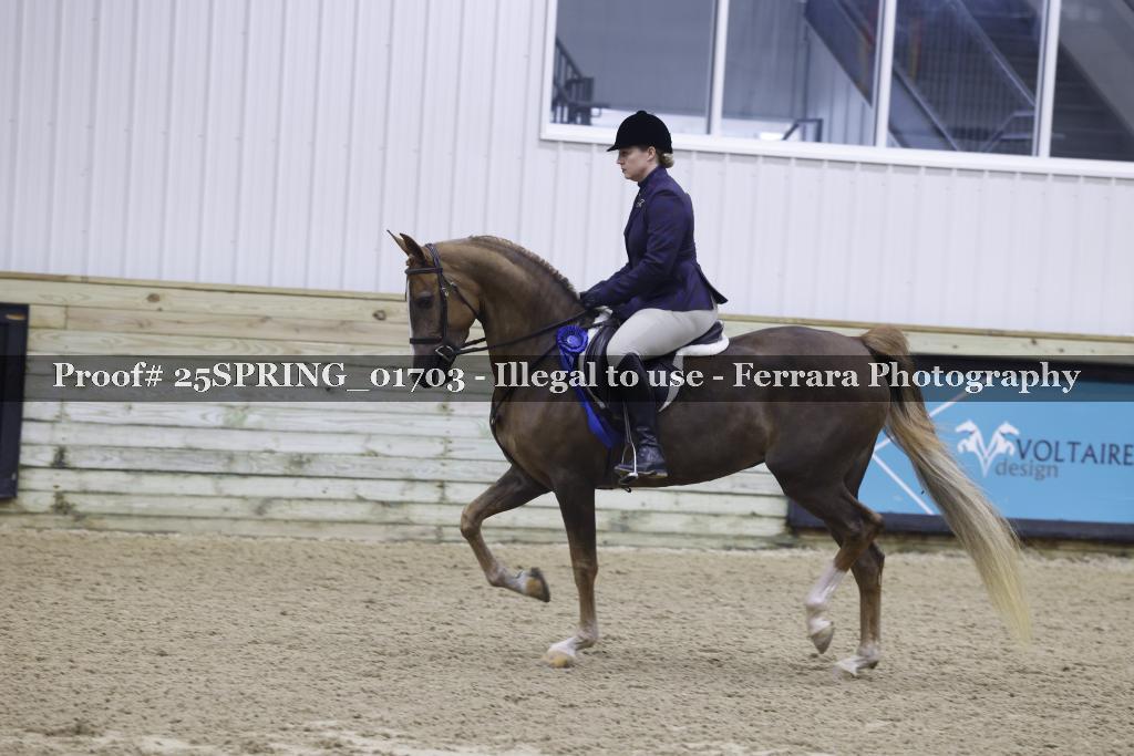 Proof 25SPRING_01703
