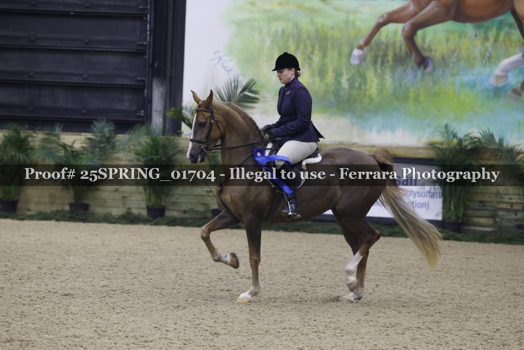 Proof 25SPRING_01704
