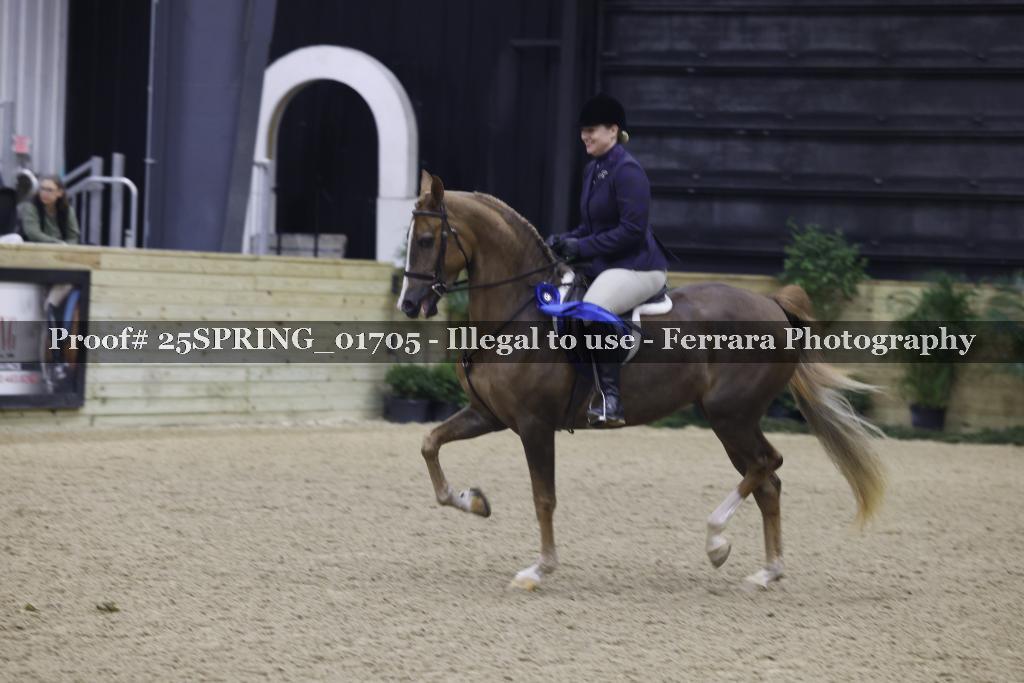Proof 25SPRING_01705