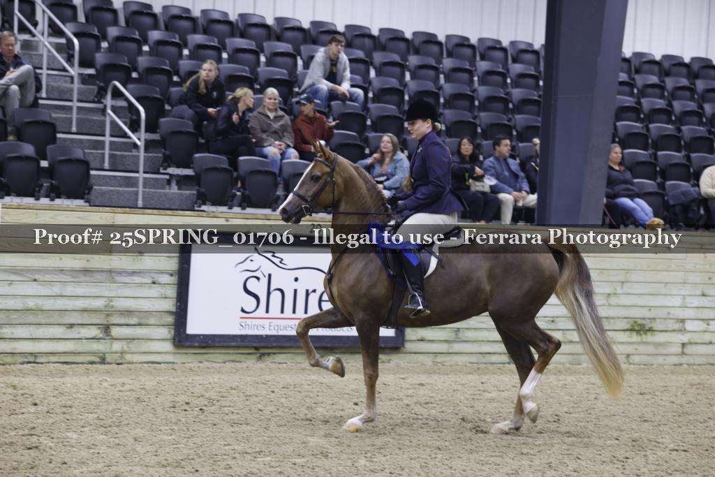 Proof 25SPRING_01706