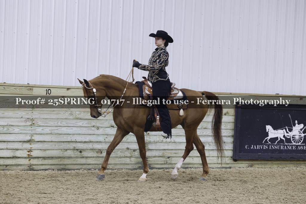 Proof 25SPRING_01717