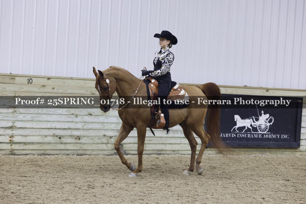 Proof 25SPRING_01718